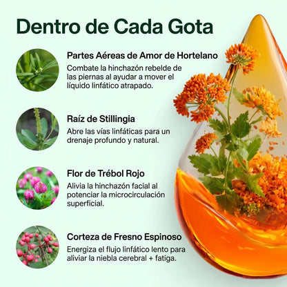 <b>Drenaje Linfático Nature's Sunshine — Gotas Naturales</b>